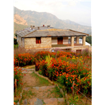 Dunagiri Retreat - Dunagiri - Ranikhet