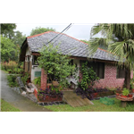 Darang Tea Estate - VPO Darang - Kangra