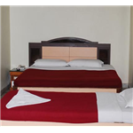 Vinayak Hotel - Central School Road - Pachmarhi