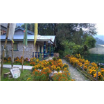 Dara Gaon Village Retreat - Pelling