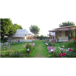 Jungle View Resort - Khilchipur - Sawai Madhopur