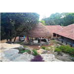 The Last Shola - Salem - Yercaud