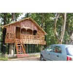 Parambikulam Wildlife Sanctuary - Pollachi - Palakkad