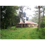 Forest Rest House - Painavu - Idukki