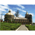 Pattumalai Hills Resorts - Idukki