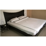 Hotel Pink Pearl - Bhagwanpur - Raigarh