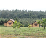 Myst Homestay - Hanbal - Sakleshpur