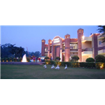 Savoy Greens - Solan