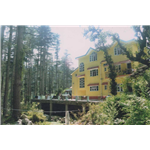 Jannat Villa - Jahal Chachiot - Mandi