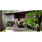 Tiger n Woods - Avargani - Pench