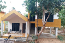 Mouglis Paradise - Pench