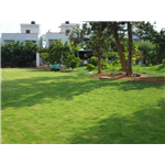 Imera Spa & Resort - Bagalur Road - Hosur