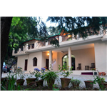 The Camphor Tree - Chanoti Village - Naukuchiatal