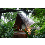 Maachli Farm Stay - Manjardewadi - Kudal