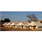 Royal Camp - Nagaur Camp - Nagaur