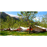 Apple Orchard Farm and Camping - Chitkul Road - Sangla
