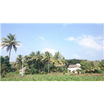 Tiru Farm Guest House - Palayappattu - Thiruvannamalai