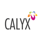 Calyx Constructions - Pune Image