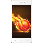 Intex Aqua Lions 3G
