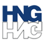 Hindusthan National Glass & Industries Ltd (HNG)