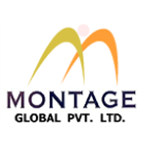 Montage Global Pvt Ltd