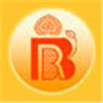 BRB Art & Jewels Pvt Ltd