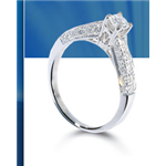 Mini Diamonds India Ltd