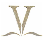 Varuna D Jani Fine Jewellery Pvt Ltd