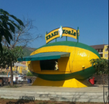 Krazy Koala - Lavasa - Pune