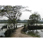 Machranga Dweep (Kingfisher Island)