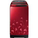 Samsung 6.5 kg Fully Automatic Top Load Washing Machine WA65K4020HP