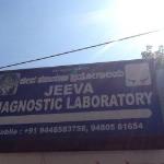 Jeeva Diagnostic Laboratory - Banashankari 3rd Stage - Bangalore