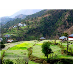 Palampur
