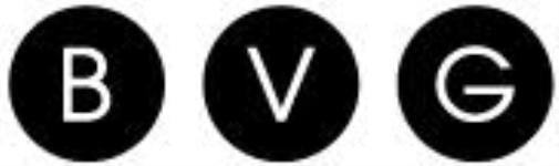 Bvg Industries Ltd