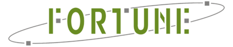 Fortune Marketing Pvt Ltd