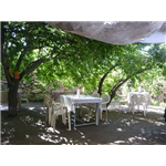 Penguin Garden Restaurant - Fort Road - Leh