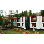 Tingmo At Thongsal - Changspa Road - Leh