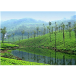 Valparai