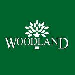 Woodland - Balaji Towers - Sirsa