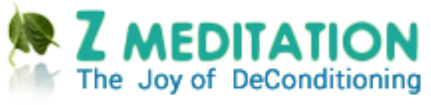 Z Meditation Center - Dharamshala