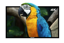 Ridaex RE-1500 Plus 4K Android Smart TV