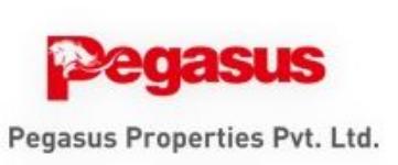 Pegasus Properties - Pune Image