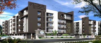 Doshi Wellspring Image