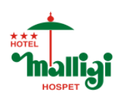 Hotel Malligi - Hospet