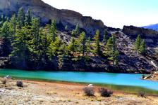 Dhumba Lake - Jomsom
