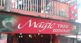 Magic Tree Coffee Shop - McLeod Ganj - Dharamshala