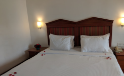 Hotel Plaza - Ernakulam