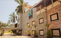 Turtle On The Beach - Kovalam