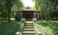 Wayanad Blooms - Wayanad