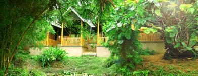 Vythiri Greens Resort - Lakkidi - Wayanad